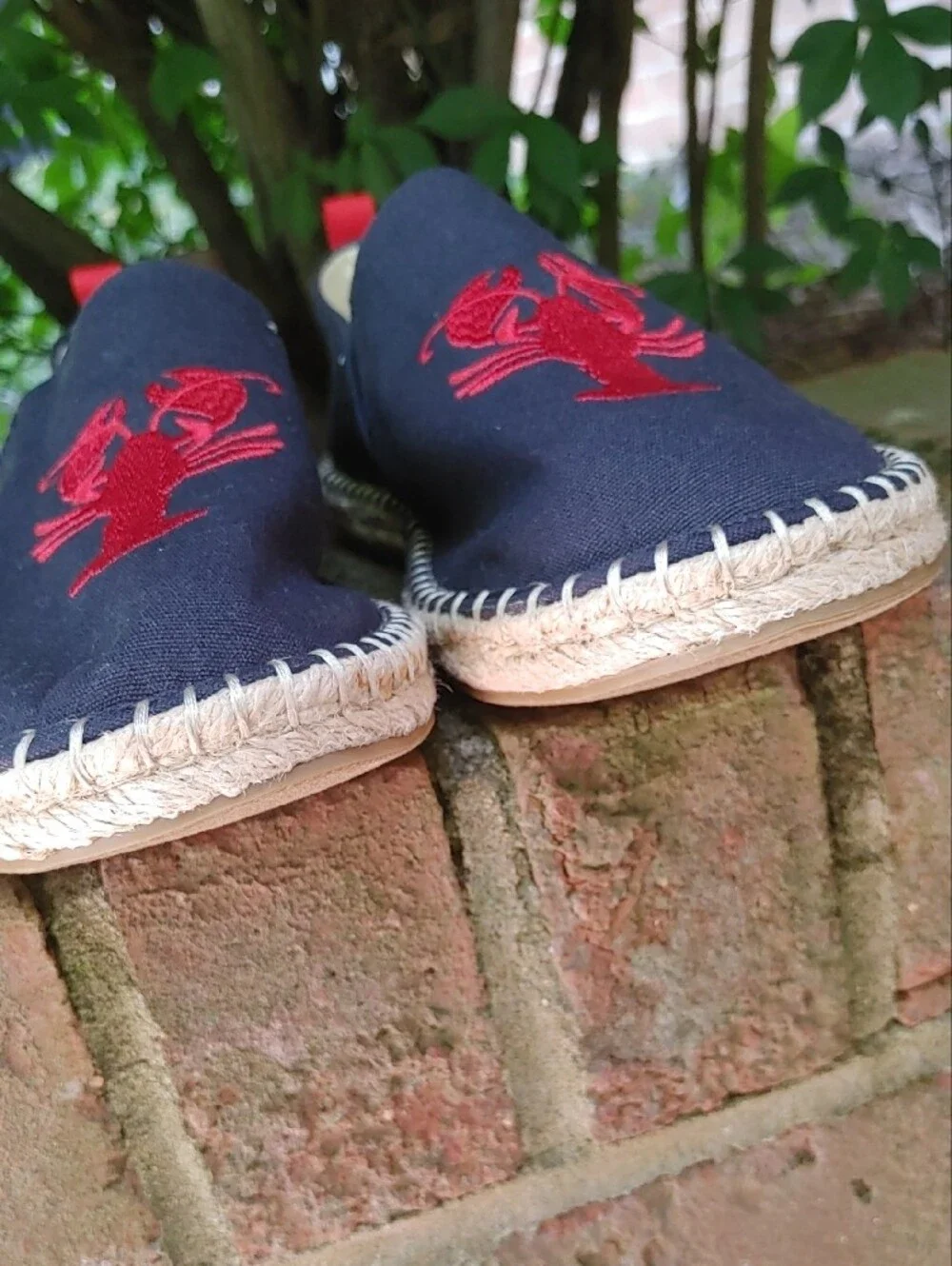 Crown & Ivy Skylar Red Lobster Embroidery Size 8 (1069)